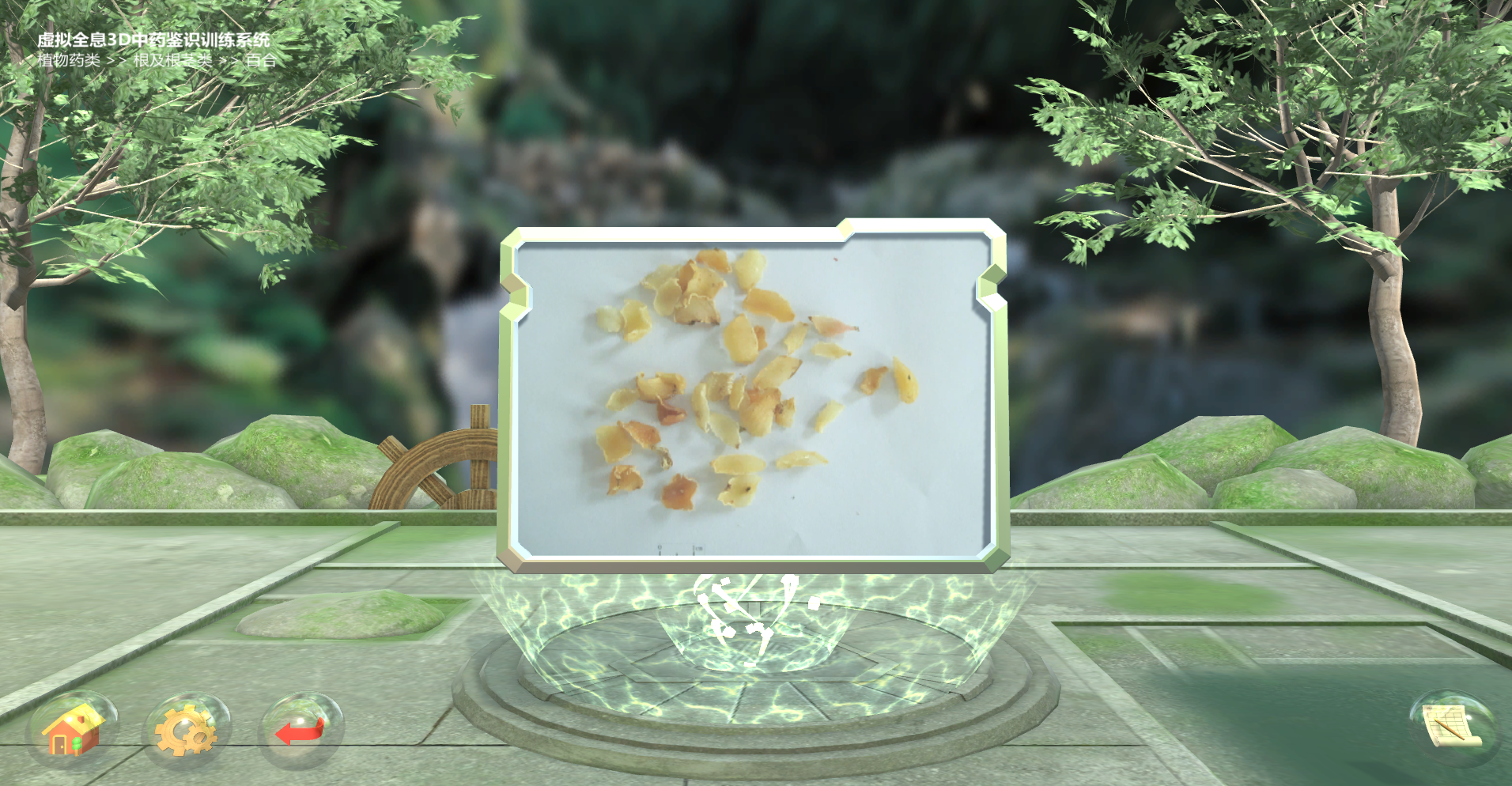 虛擬全息3D中藥鑒識訓練系統(tǒng)